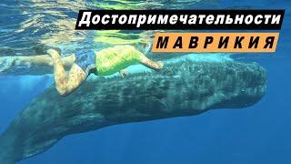 Путешествие по острову Маврикий. Достопримечательности юго-западной части Маврикия. Киты. La Vanille