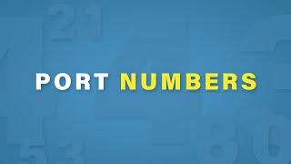 Port Numbers Explained | Cisco CCNA 200-301