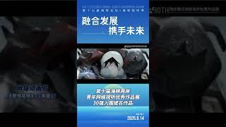 【兩岸】搶先看！第十屆海峽兩岸青年網絡視聽優秀作品展30強入圍提名作品