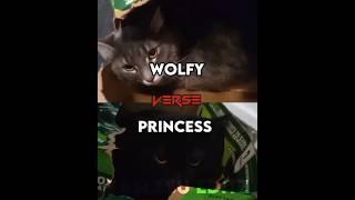 Wolfy Vs Princess #edit #fypシ #recommended #cats