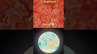 Human Blood Vs The Universe Zoom In/Out Comparison #universe #space #shorts