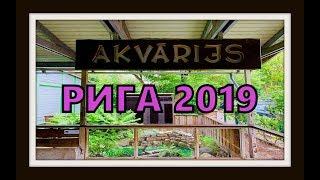 Рижский зоопарк 2019. Лошади на природе