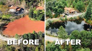 6 Week Pond Transformation
