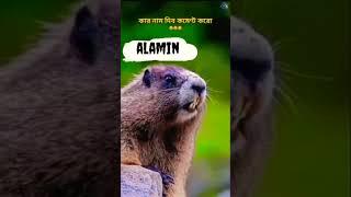alamin funny video