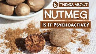 6 Things About Nutmeg | Is It Really Psychoactive?