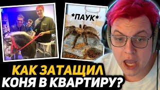 КАК ПЯТЁРКА ДАРИЛ КОНЯ МЕЛЛШЕРУ в КВАРТИРЕ? | КИРИЛЛ ЖИЛ с ПАУКОМ 2 ДНЯ