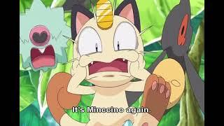 Meowth meets Minccino again! Pikachu's Summer Bridge Story