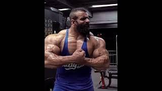 Giant muscle bull Hadi Choopan & his huge biceps