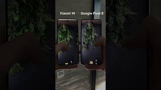 Xiaomi 14 vs Google Pixel 8