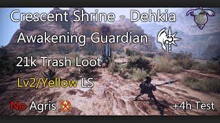 Black Desert Online | Guardian Awakening Dehkia Crescent Shrine 21k tl [Lv2 LS No Agris]