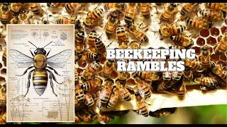 Beekeeping | Rambles  #3