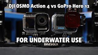 GoPro Hero 12 vs DJI OSMO Action 4 | Underwater comparison 