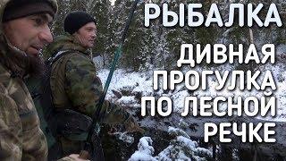 РЫБАЛКА / ДИВНАЯ ПРОГУЛКА ПО ЛЕСНОЙ РЕЧКЕ / БРАТЬЯ ПРИХОДЬКО