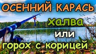 Ловля карася осенью. Что даст смена прикормки?