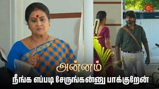 நீதான இத பண்ணது? | Annam - Semma Scenes | 14 June 2025 | Tamil Serial | Sun TV