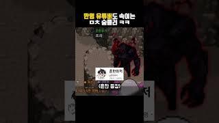 고여버린 감염 유튜버 근황 ㅁㅊㅋㅋㅋ