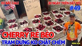 TRẠM DỪNG "KO CHẶT CHÉM" BẮC CALI SANJOSE - HÀNH TRÌNH CUỘC SỐNG SÀI GÒN KHÁM PHÁ NƯỚC MỸ VĨ ĐẠI
