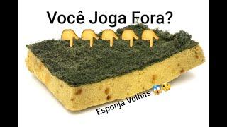 RECICLE Esponjas Velhas. Artesanato Faça Você mesmo, Decorar e Organizar Casa. Dicas Rápidas