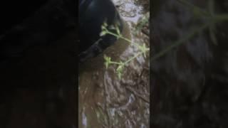 Acquo rubber boots into deep mud.(part 2)