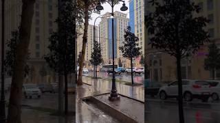 Rainy Day in Ayni Street, Dushanbe