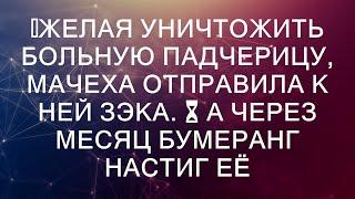 Желая уничтожить больную падчерицу, мачеха отправила к ней ЗЭКА. ⏳ А через месяц бумеранг настиг