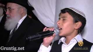 Uziya Tzadok -Kochav Meir | Live At Chuppah עוזיה צדוק בחתונת נכדת הרב עובדיה זיע"א