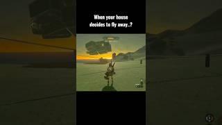 #tearsofthekingdom This happened to me like a month ago #shortsvideo #shorts #legendofzelda #hyrule