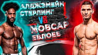 ЕВЛОЕВА ЗАСУДЯТ?!!! UFC 310: Мовсар Евлоев VS Алджамейн Стерлинг прогноз | аналитика мма