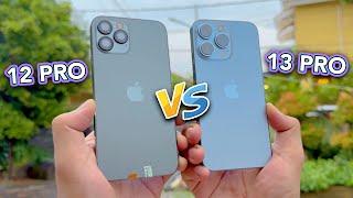 iPhone 12 Pro vs iPhone 13 Pro Mana Lebih Layak Beli ? Camera Beda Tipis !!!