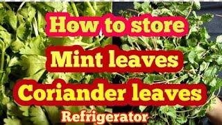 How to store Mint leaves (pudina) / Coriander leaves