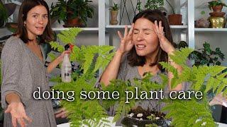 Sit down plant care mumbo jumbo