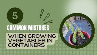 5 Common Mistakes When Growing Vegetables in Containers