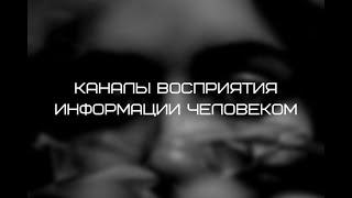 Каналы восприятия информации человеком.