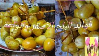 فوائد البلح كل ما يهمك أن تعرفة عن فوائد البلح #يومياتي_انا_وننوسه_yawmiaati_ana_wanunawisuh