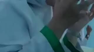 Cipok