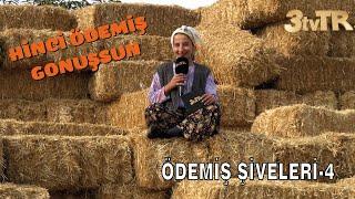 HİNCİ ÖDEMİŞ GONUŞSUN (ÖDEMİŞ ŞİVELERİ-4)