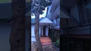 Stay at Munnar #kerala #stay #resort #roomview
