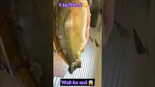 Carp fish cutting | wait for end #shorts #ytshorts #youtubeshorts #trending #fishing