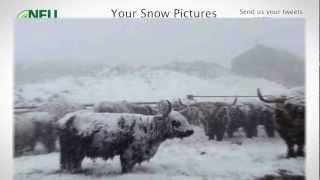 Farming delivers in the snow