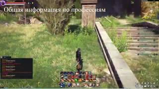 Гайд по профессиям в Astellia online (смотри описание к видео)