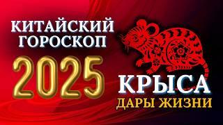 КРЫСЫ 2025 - КИТАЙСКИЙ ГОРОСКОП НА 2025 ГОДА