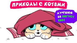 Приколы с котами. ЛУЧШЕЕ ЗА АВГУСТ 2021 | Мемозг