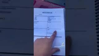 Equine Ambition Strategy Planner part 1