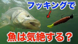 KOフッキング【村岡昌憲切り抜き】