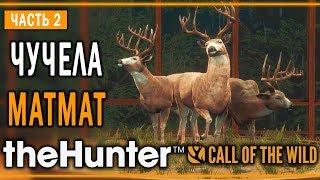 theHunter Call of the Wild #2  - Белохвостое Cтaдo - Композиции из Чучел