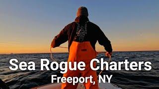 Sea Rogue Charters - Freeport, NY