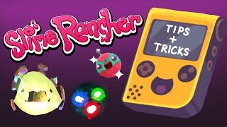 Tips & Tricks from a Pro Slime Rancher + My Ranch Update