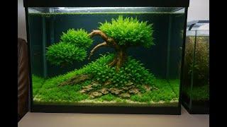 Setting up a 70l aquarium. Step by step.