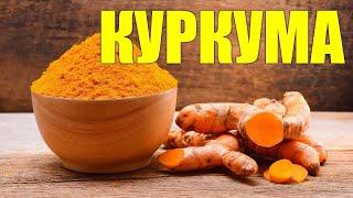 Польза и вред куркумы для человека. Вся правда о куркуме