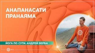 Анапанасати пранаяма. Медитация для начинающих